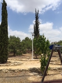 Street Lights At Aglantzia